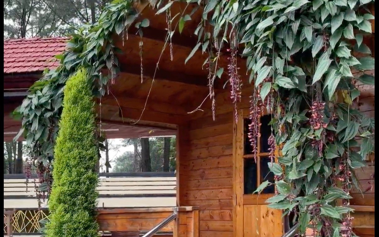 A cottage among tall garden trees at Mountail Eco Resort