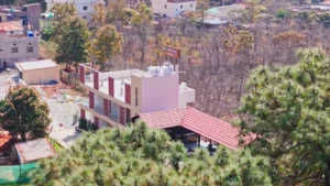 Feel-Good Moments Amid Nature at Mountail - an effective hotel at netarhat jharkhand