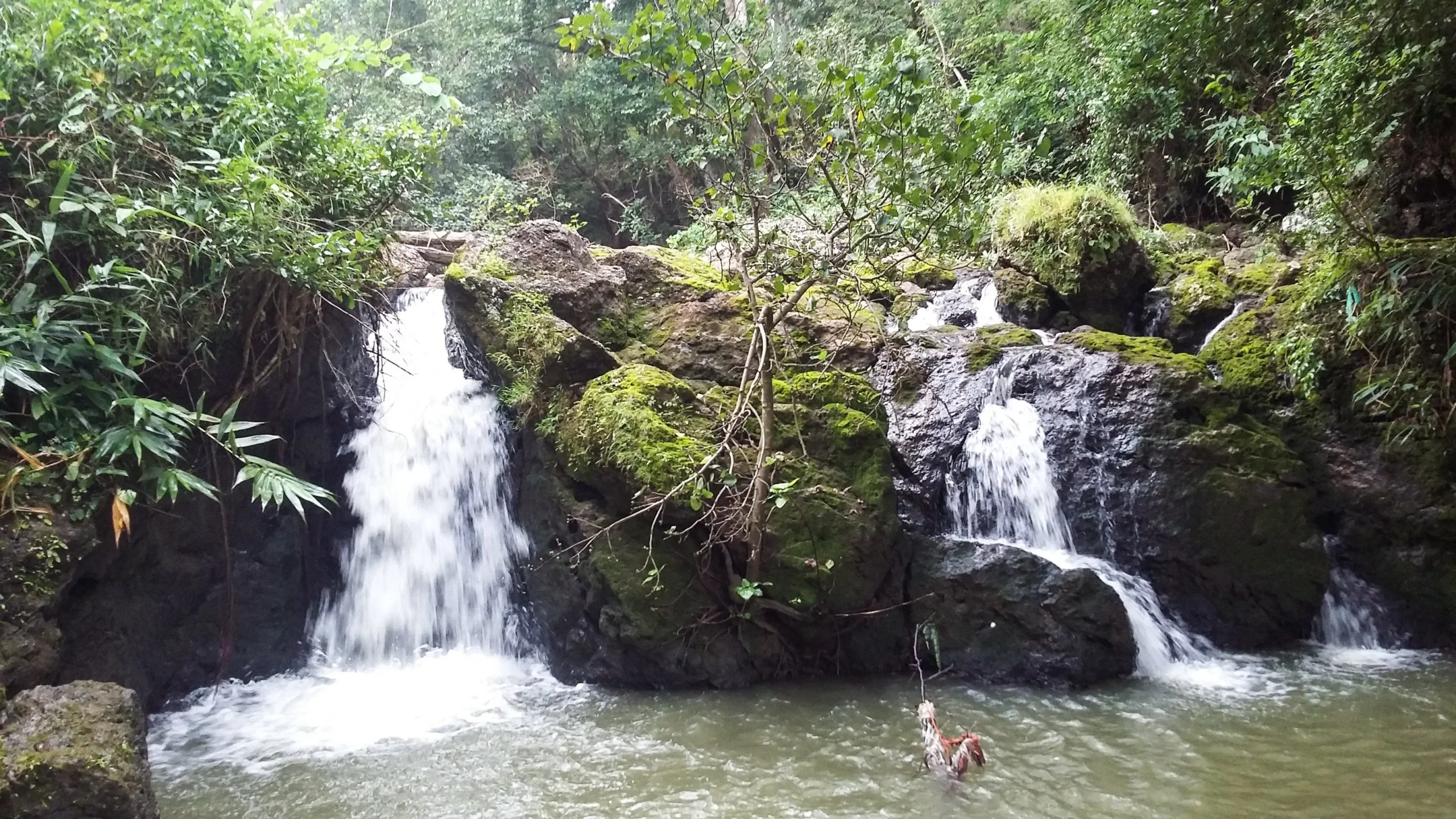 netarhat tourism