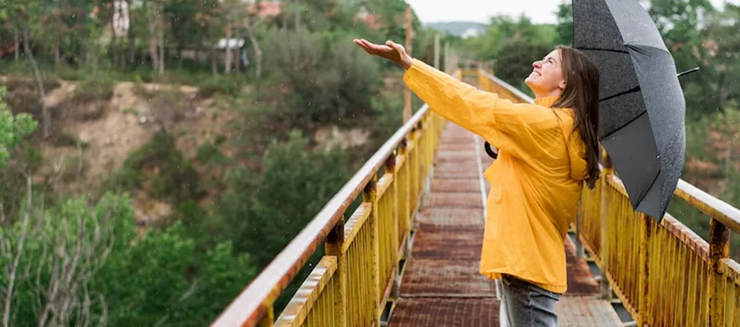 Best Time to Travel in India