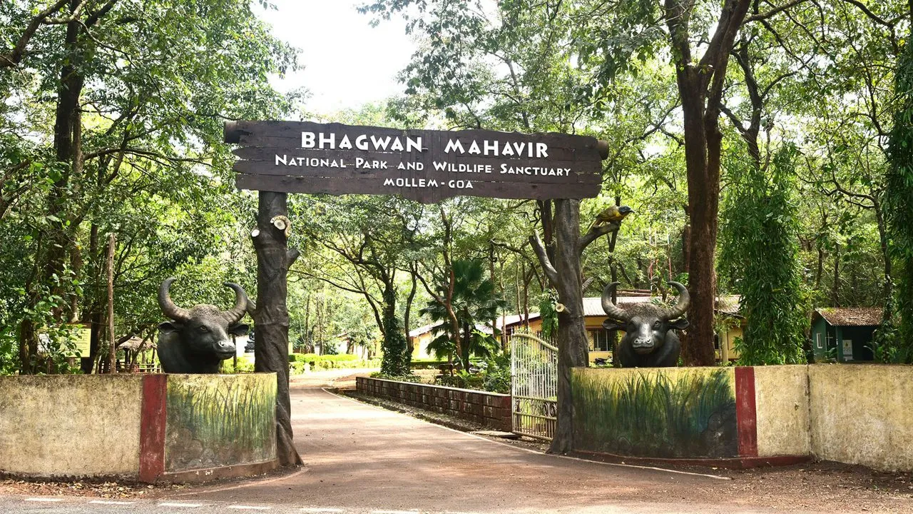 Bhagwan Mahavir Wildlife Sanctuary - Places to Visit in Goa